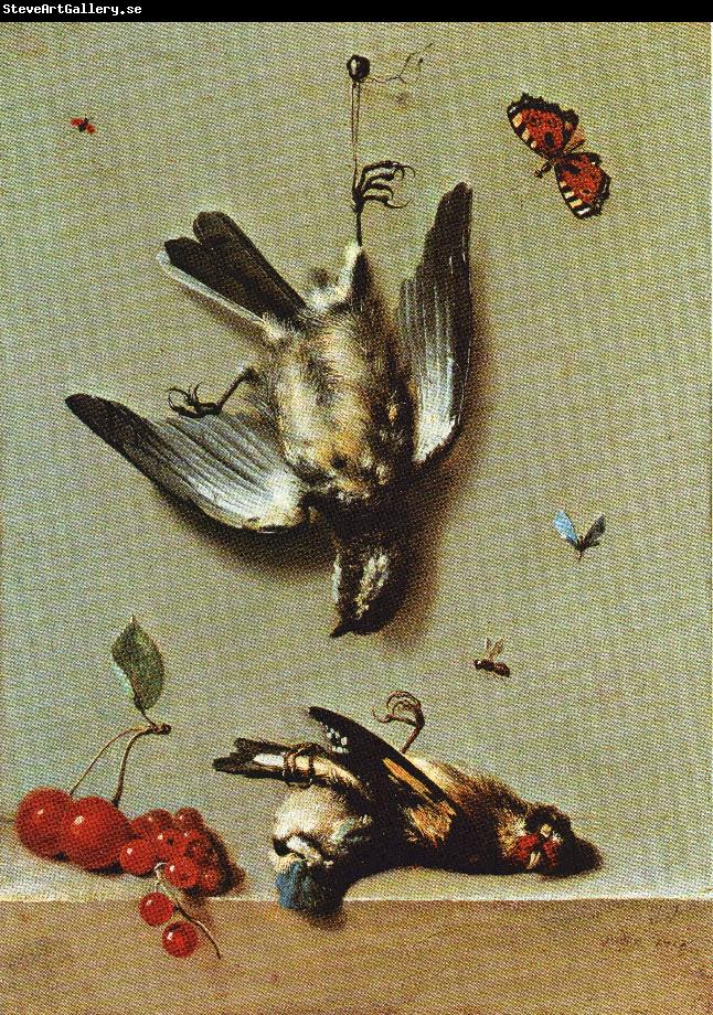 Jean Baptiste Oudry Nature morte avec trois oiseux morts